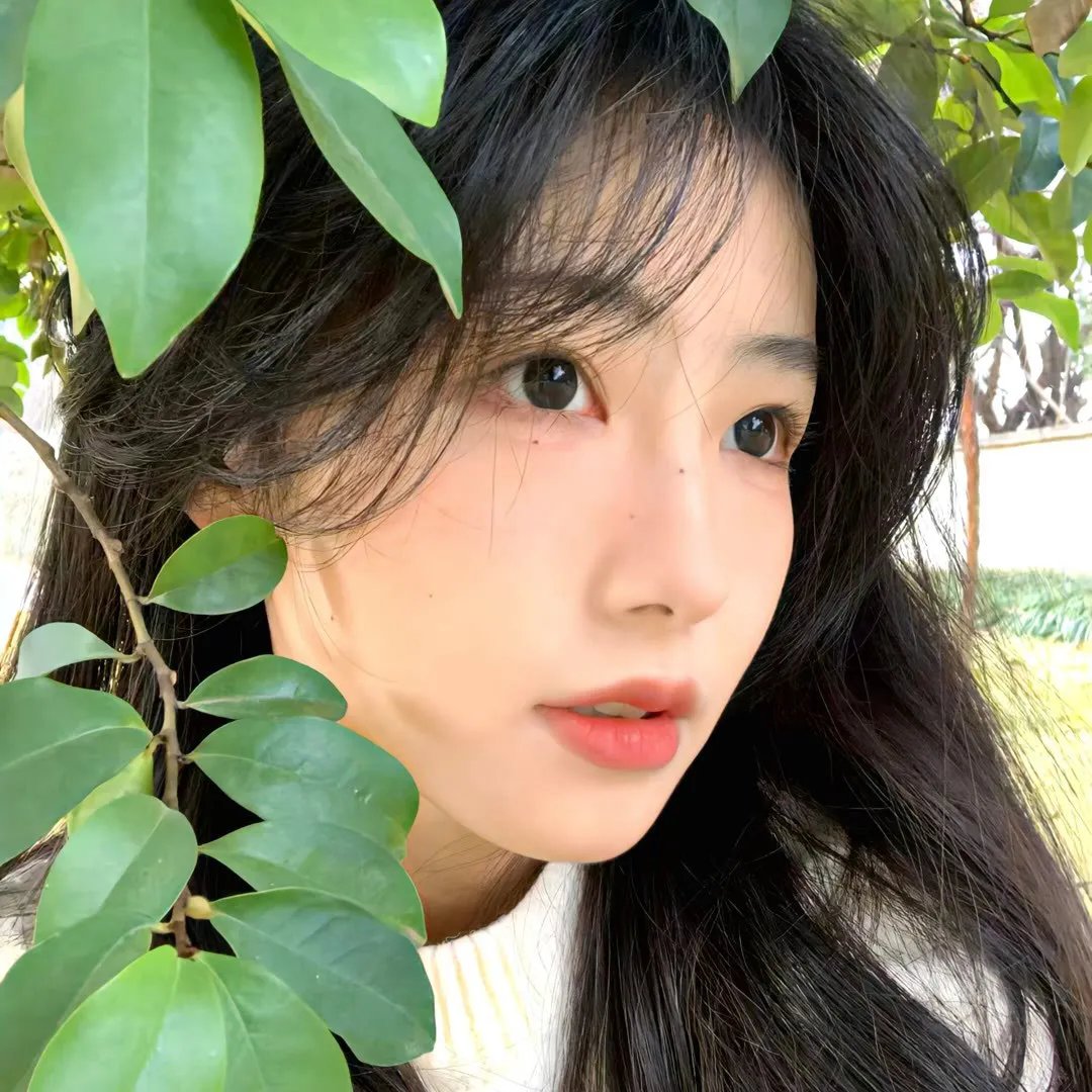 花花世界花家姐粤语